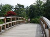 Filename=P1010071.JPG
Filesize=134KB
Dimensions=800x600
Date added=Oct 29, 2007 P1010071.JPG